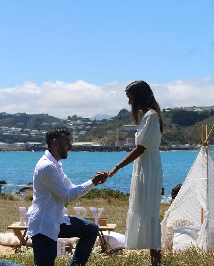 Wellington proposal picnic party hire