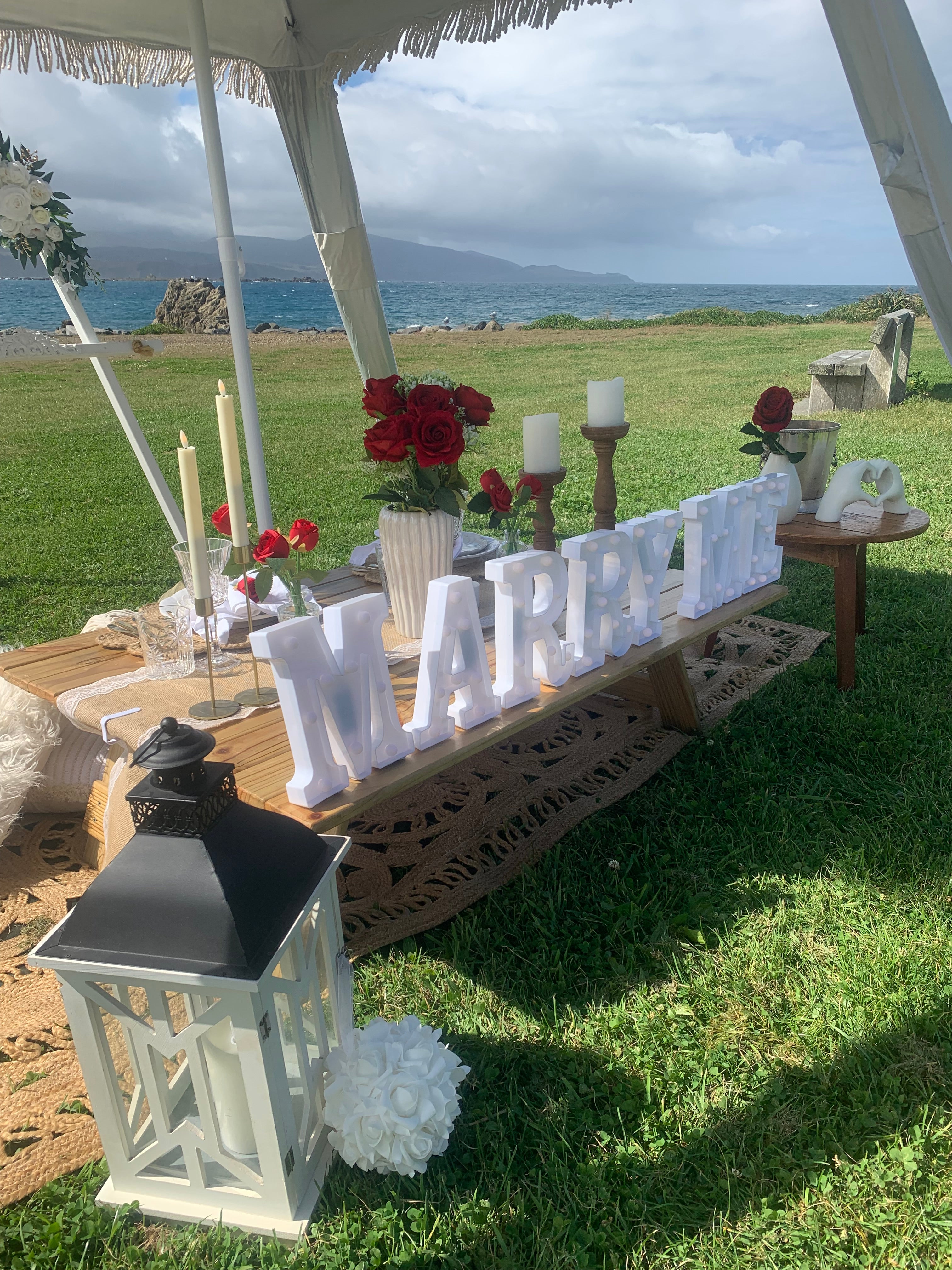 A gorgeous red rose engagement picnic setup on the banks of Wellington harbour waiting for the big question to be asked