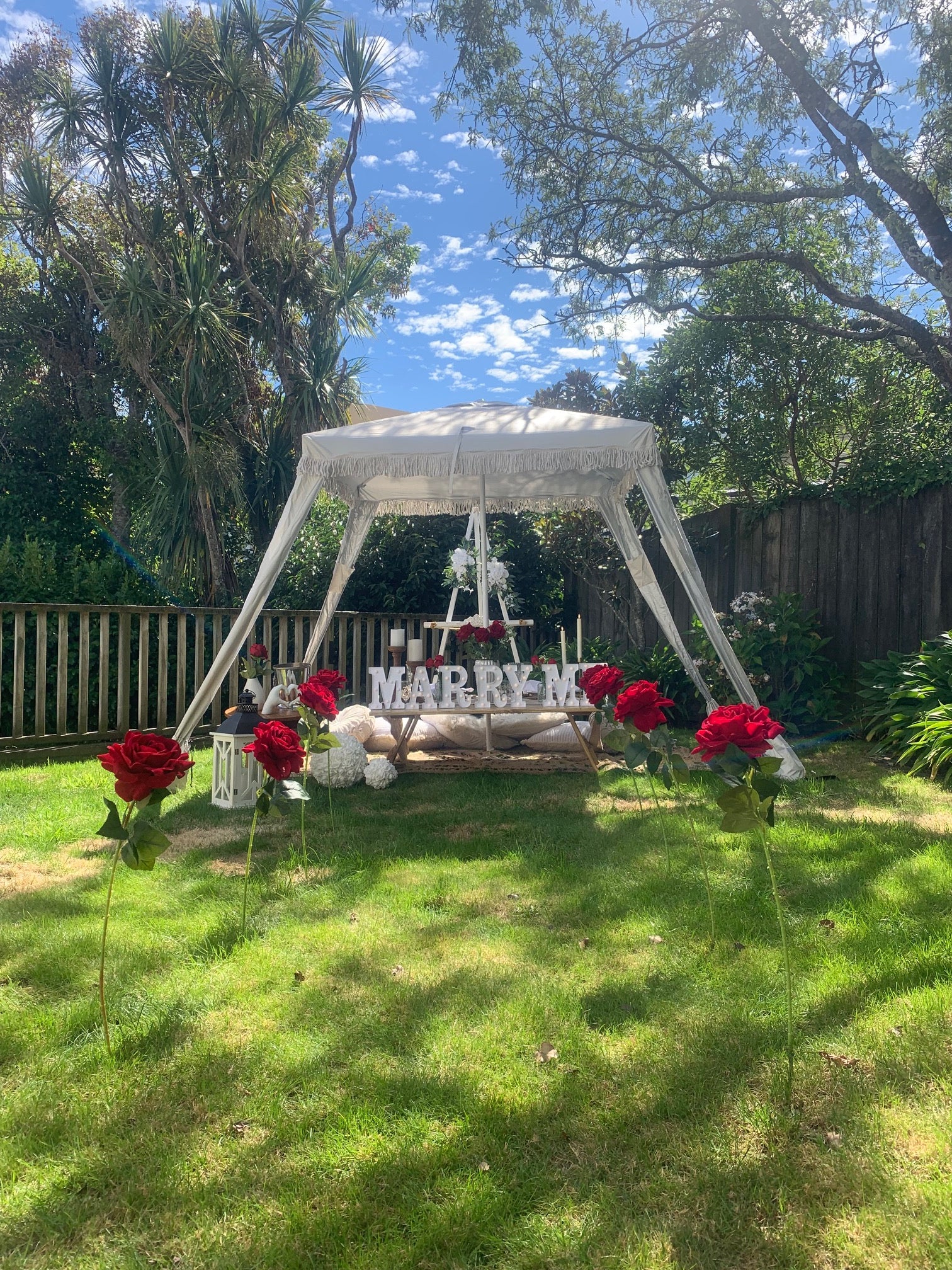 Red rose themed proposal setup Wellington