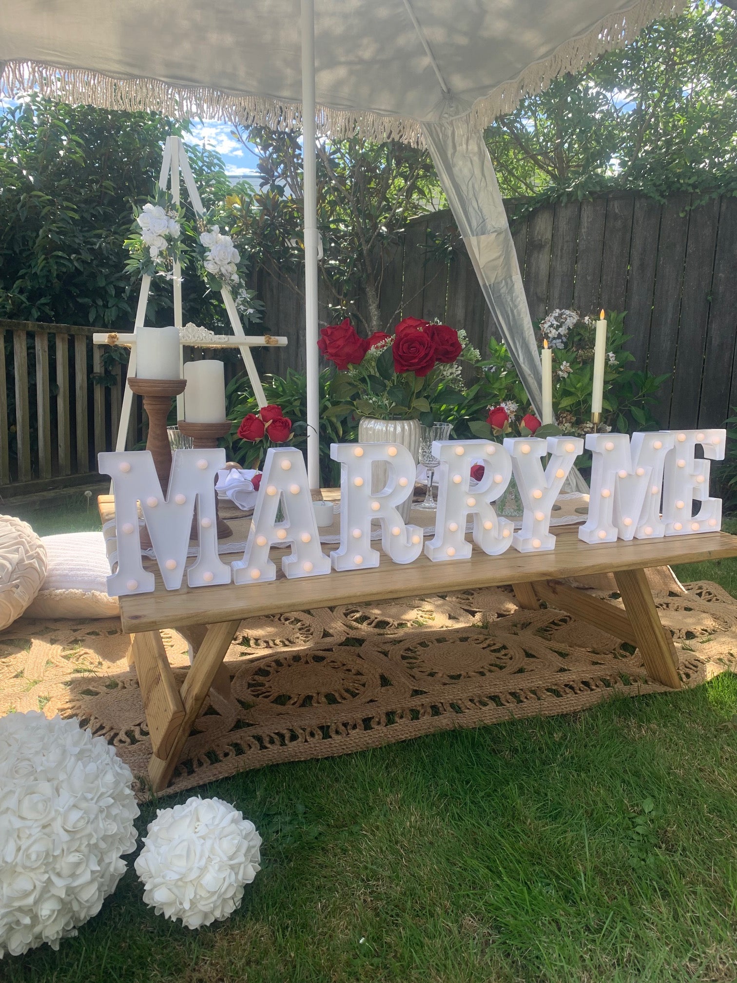 Proposal picnic setup Wellington with red roses