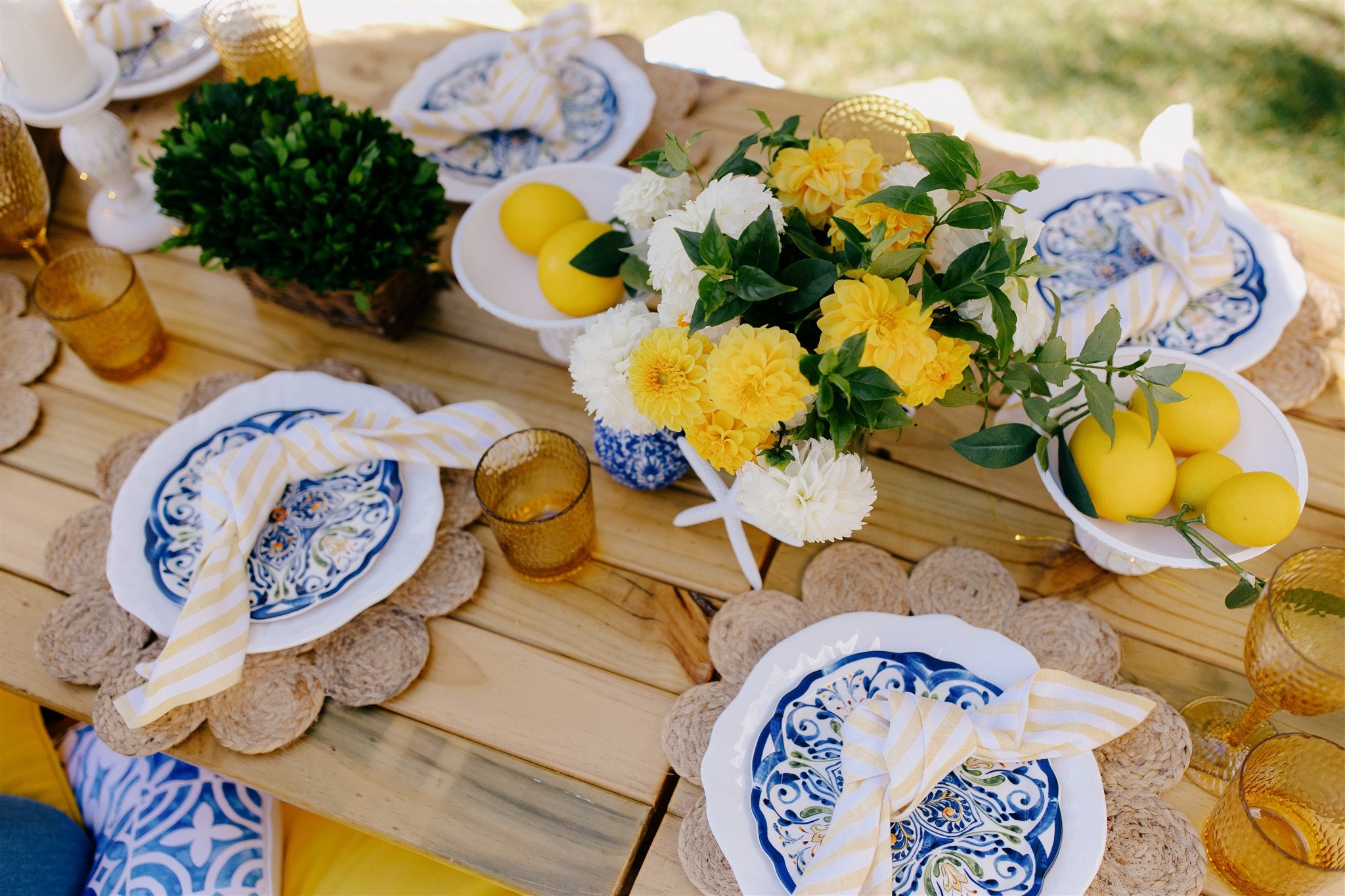 Blue and yellow stripe gorgeous picnic hire Wellington