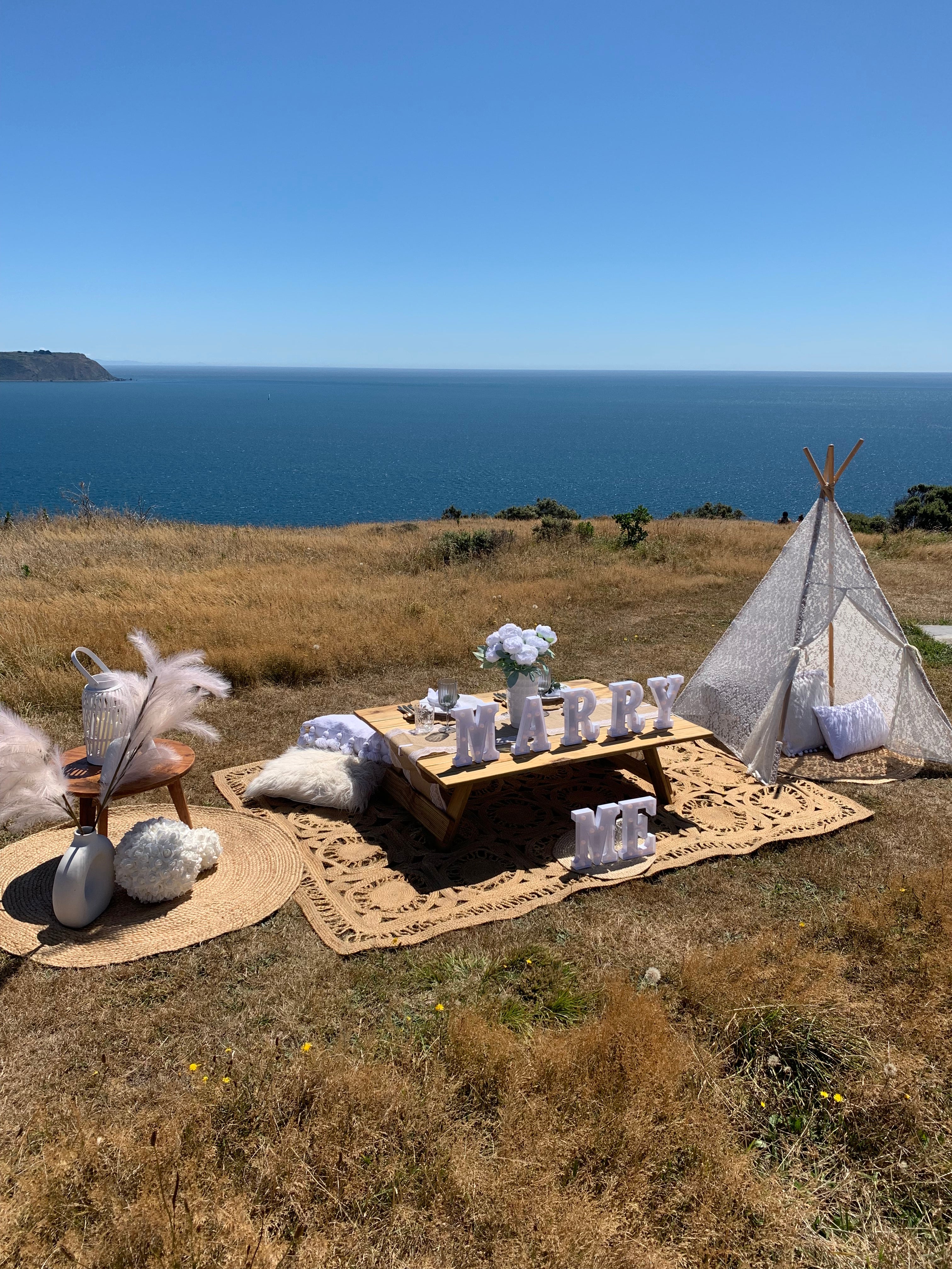 Proposal picnic with gorgeous views Wellington