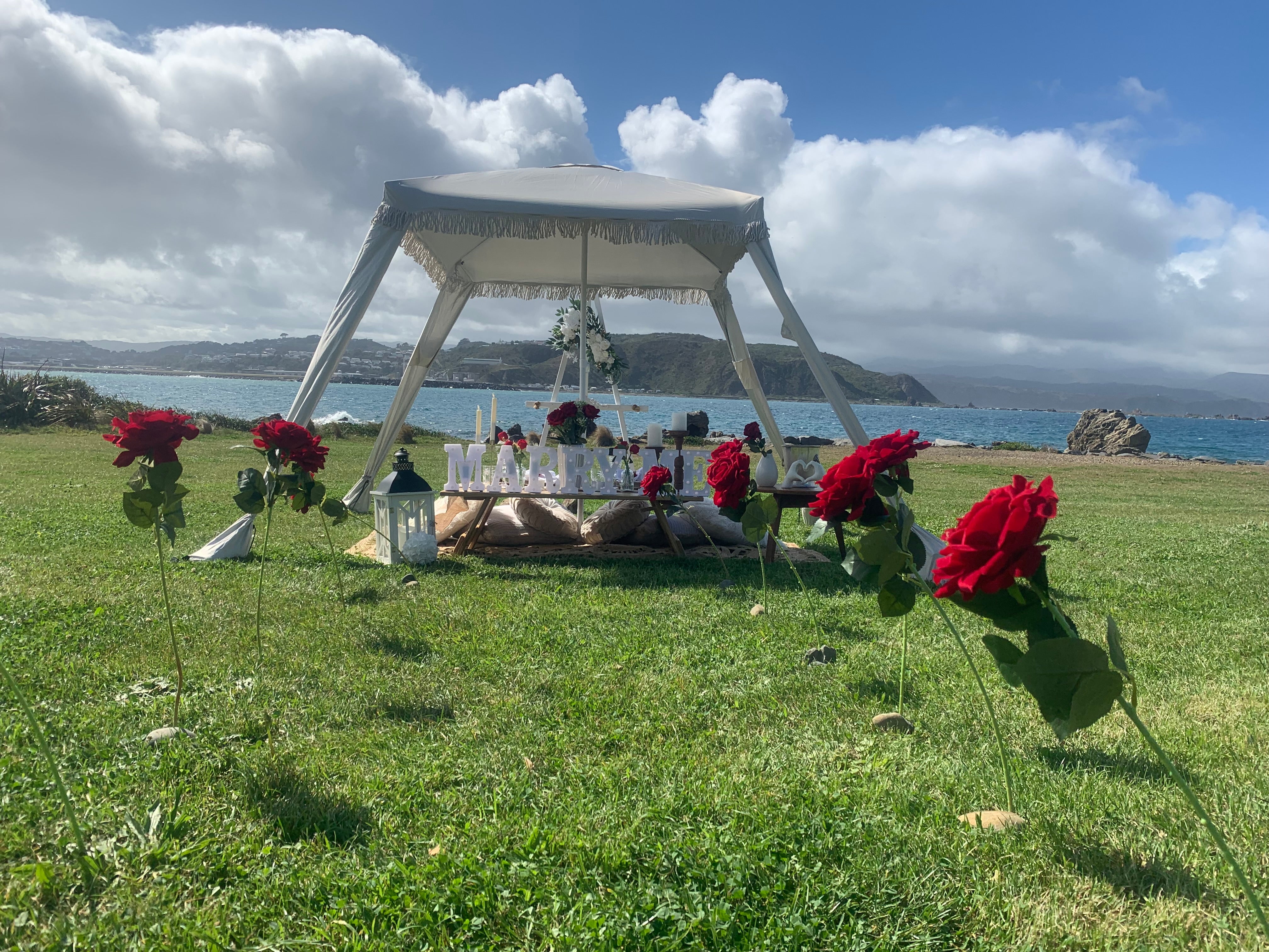 Under the gazebo I asked the most important question of my life, will my partner marry me with Wellington harbour beautifully in the background